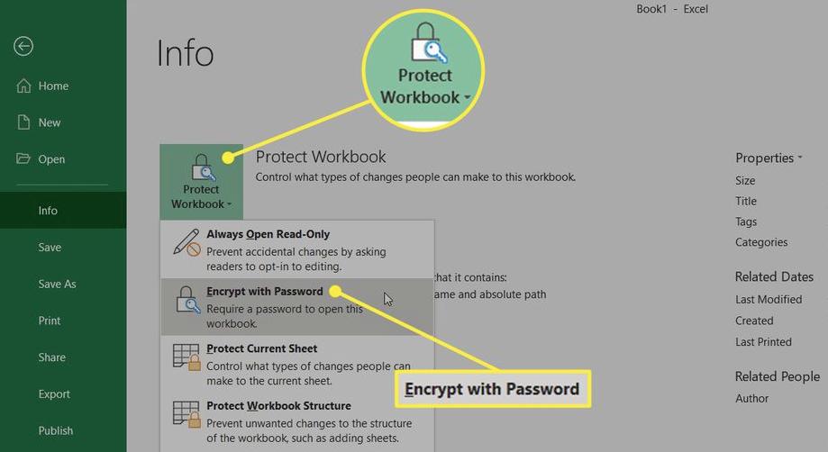 password protect excel infographic