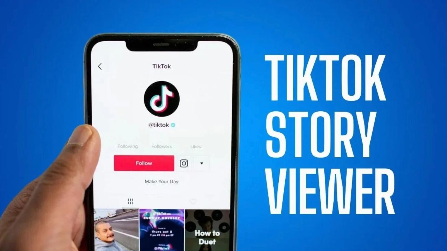 tiktok story viewer infographic